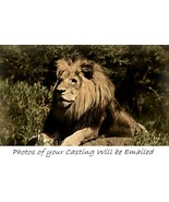 CRUCIBLE of COURAGE SPELL  .Pics of Casting Incl. Don&#39;t Let Fears Hold y... - $30.97 CAD