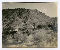 Prospectors Horses Mules San Matias Pass San Felipe Desert Mexico Photo 1902 - £397.63 GBP