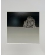 Philippe Mougin France Hivernal Winter Tree Minimalism YellowKorner Phot... - $268.95 CAD