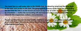 Amber Mud Masque / Dead Sea and Chamomile, 16 Oz. image 4