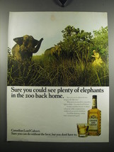 1971 Canadian Lord Calvert Whisky Ad - Sure you could see plenty of elephants - £14.55 GBP