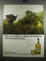 1971 Canadian Lord Calvert Whisky Ad - Sure you could see plenty of elephants - £13.81 GBP