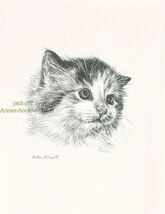 #222 KITTEN PORTRAIT *  cat art print  *  pen &amp; ink drawing by Jan Jellins - $12.50