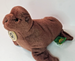 Wild Repubulic Cuddlekins Central Park Zoo Sea Lion Brown 10in Plush Toy - $17.77