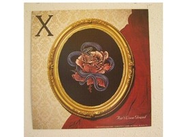 2 X Poster Flat Exene Cervenka Aint Love Grand Ain&#39;t More Fun In The New World - £21.20 GBP