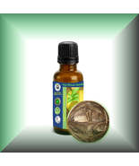 Agarwood Essential Oil (Aquilaria Malaccensis, South Asia) - $221.85 MXN+