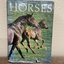 The Treasury of Horses by Osborne, Walter D &amp; Johnson Patricia H.~ 1966 - $5.87