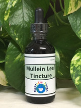 Mullein Leaf Tincture - Alcohol Free Verbascum thapsus Extract - Cold Cured  - £2.36 GBP+