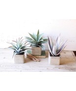 Set Of 3 Realistic Lifelike Artificial Botanica Succulents In Square Pot... - $103.82 CAD