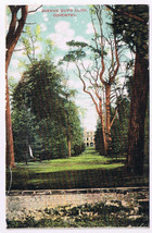 Postcard Avenue Guys Cliff Coventry West Midlands UK - £3.81 GBP