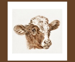 Calf Head Illustration Wall Art Poster Print 16 x 16 in - £18.18 GBP