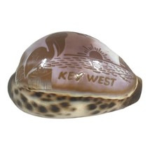 Cowrie Shell Key West Mallory Square Sunset Pelican Vintage Seashell Engraved - £14.93 GBP
