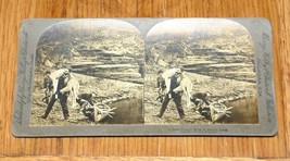 1906 Stereoview Real Photo Deer Hunter Canoe Philadelphia Berry Kelley Chadwick - £14.28 GBP