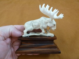 moose-26 white Moose Elk bull running shed ANTLER figurine Bali detailed... - $69.42