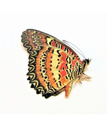One Real Cethosia Biblis Butterfly, India, UNMOUNTED, WINGS CLOSED, Taxi... - £6.30 GBP