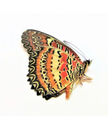 One Real Cethosia Biblis Butterfly, India, UNMOUNTED, WINGS CLOSED, Taxi... - £6.01 GBP