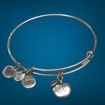 Alex And Ani Apple Of Abundance Raphaelian Silver Charm Bangle Bracelet - £7.64 GBP