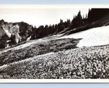 RPPC Paradiso Valley Montante Rainier National Park Wa Washington Cartol... - £3.99 GBP