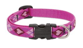 LupinePet 1/2-Inch Puppy Love 8-12-Inch Adjustable Dog Collar for Small ... - €19,07 EUR