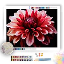 Dahlia Elegance- Paint by Numbers - £23.62 GBP+