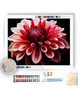 Dahlia Elegance- Paint by Numbers - £23.52 GBP+