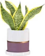 Ekirlin 5 Inch Plant Pot - Ceramic Flower Planters Indoor - Contemporary - £31.62 GBP