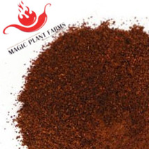Trinidad 7 Pot Douglah (Rare Chocolate) Premium Quality Chili Powder - HOT! - £20.95 GBP+