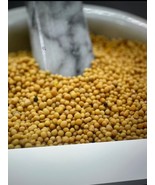 Mustard Seeds Yellow Bulk 50 lbs Mustard Seeds Marinades Sauces Pickling - €308,58 EUR