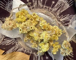 .5 oz Everlasting Flowers, Helichrysum Italicum, Contacting Spirit World - $3.25