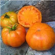 Usa Seller Orange Jazz Tomato Seeds Fast Shipping - £7.54 GBP