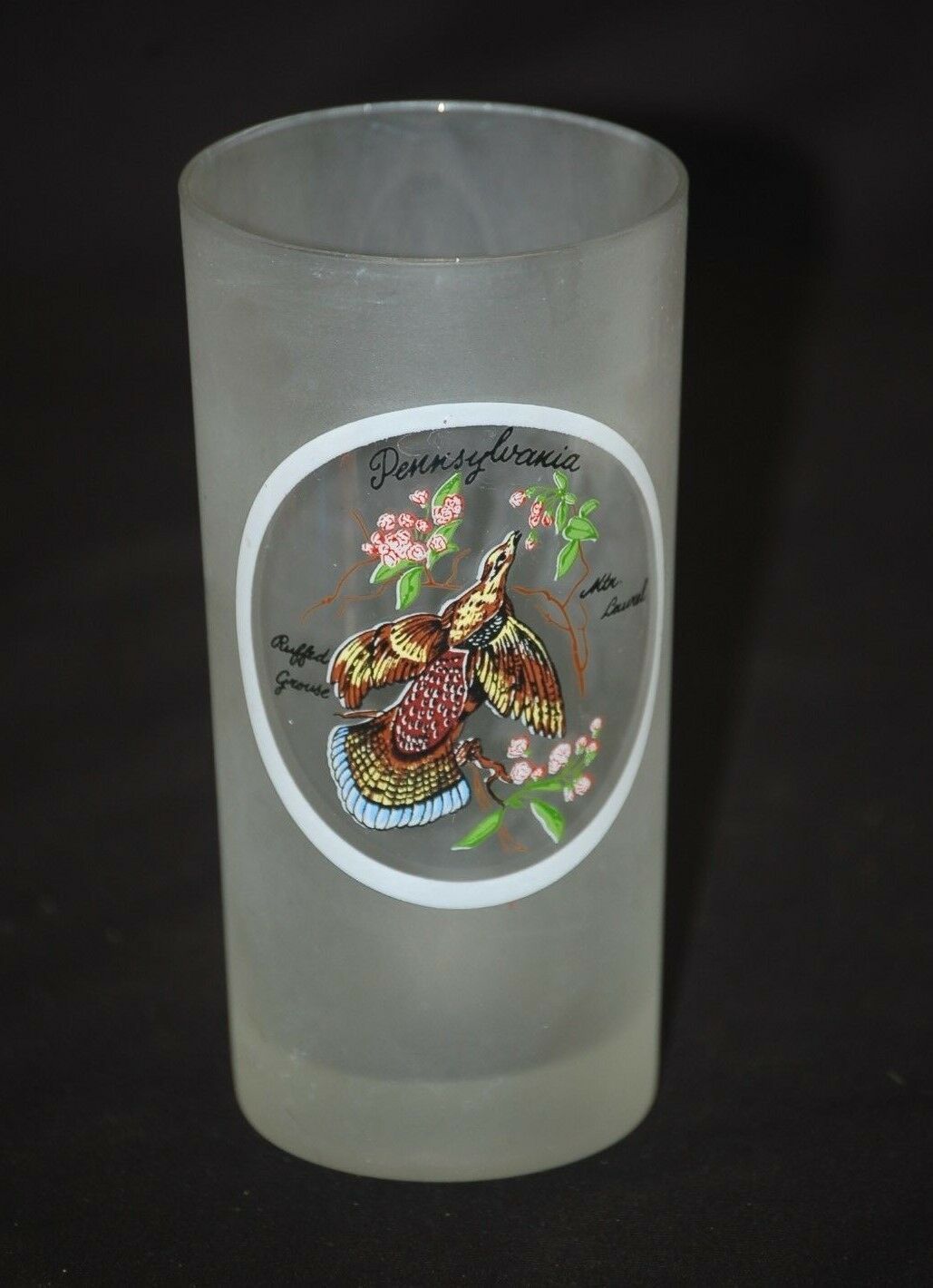 Old Vintage Frosted Tumbler Tom Collins Glass Pennsylvania Keystone Stat... - $9.89