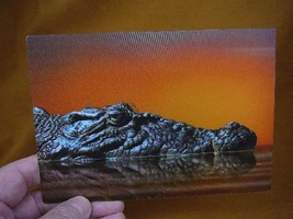 (POST-2) Lenticular 3D Postcard Australia Salty CROCODILE croc head tooth mouth - £7.58 GBP