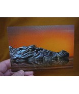 (POST-2) Lenticular 3D Postcard Australia Salty CROCODILE croc head toot... - £7.46 GBP