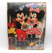 Vintage Walt Disney World Mickey Mouse Minnie Mouse Poster 16x20 Framed - $27.82