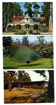 3 Los Angeles State Arboretum Postcards Arcadia California Queen Ann Cottage  - £13.76 GBP