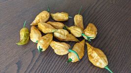 Item image 13