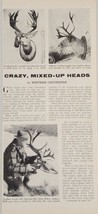 1956 Magazine Photos Game Head Mounts with Abnormal Freaky Horns,Antlers - $15.79