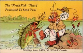 CA Bala Muskoka Ontario Exaggerated Fresh Fish and Scared Fisherman Postcard Y15 - £15.60 GBP