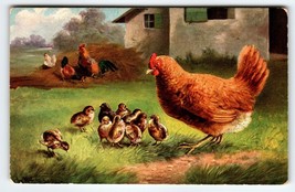 Postcard Rustic Rooster Baby Chicks Signed Muller Germany Barnyard Animals 1906 - £13.59 GBP