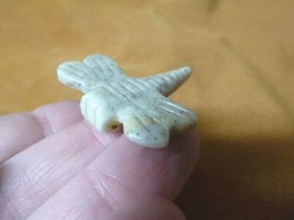 Y-DRAG-9) white DRAGONFLY fly figurine BUG carving SOAPSTONE PERU dragon... - $8.59