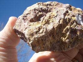 CARNOTITE URANIUM ROCK 6.0 OZ 23,600. CPM  JURASSIC CANYON  $24.00 +$12.... - $24.00