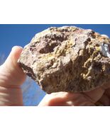 CARNOTITE URANIUM ROCK 6.0 OZ 23,600. CPM  JURASSIC CANYON  $24.00 +$12.... - $24.00