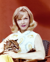Anne Francis With Cat Rare 8x10 Photo - £7.79 GBP