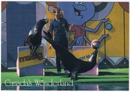 Postcard Seals Saltwater Circus Canada&#39;s Wonderland 4 1/2&quot; x 6 1/2&quot; - £3.86 GBP