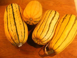 Delicata Little Sweet Squash Organic, 10 Seeds - $10.29