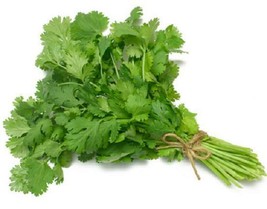 Latin Cilantro Herb Coriander (Coriandrum Sativum) Recao Cuisine Spice 150 Seeds - £7.07 GBP