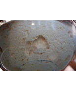 FAMOUS SOURDOUGH STARTER mix  San Francisco BEAST+ RECIPES @fresh/active d - $12.00