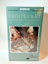 Tabby Cat Natura Caron Latch Hook Kit Art P543 12x12 NEW - $9.85