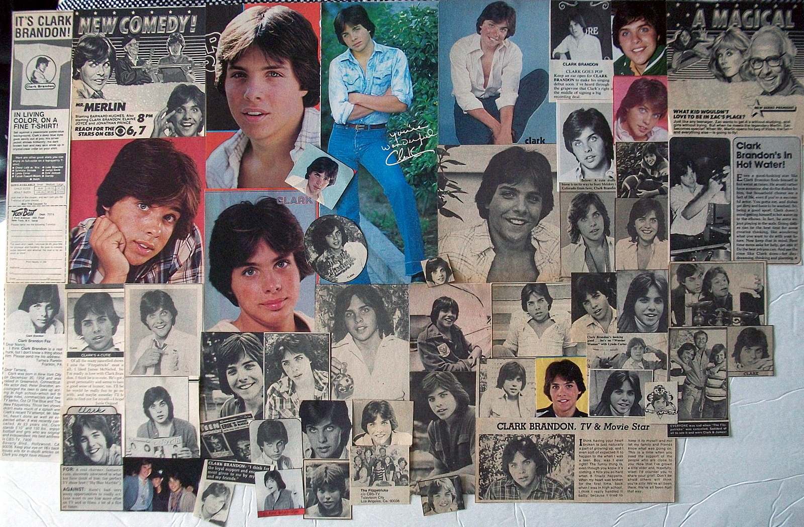 CLARK BRANDON ~ Sixty-One (61) Color and B&amp;W Vintage Clippings from 1977... - $6.67