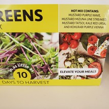 Fox Planter with Microgreens Seed Kit, gardening gift, ceramic animal planter image 10